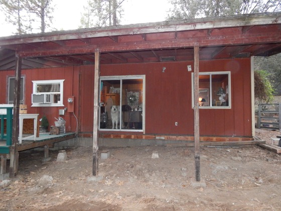 Here's the space with the flooring and siding completely removed!